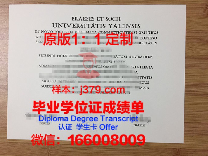 耶鲁大学毕业证翻译(美国耶鲁大学毕业证书)