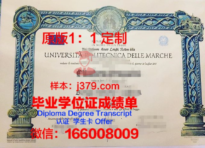 代尔夫特理工大学毕业证书图片(代尔夫特理工相当于什么级别学校)