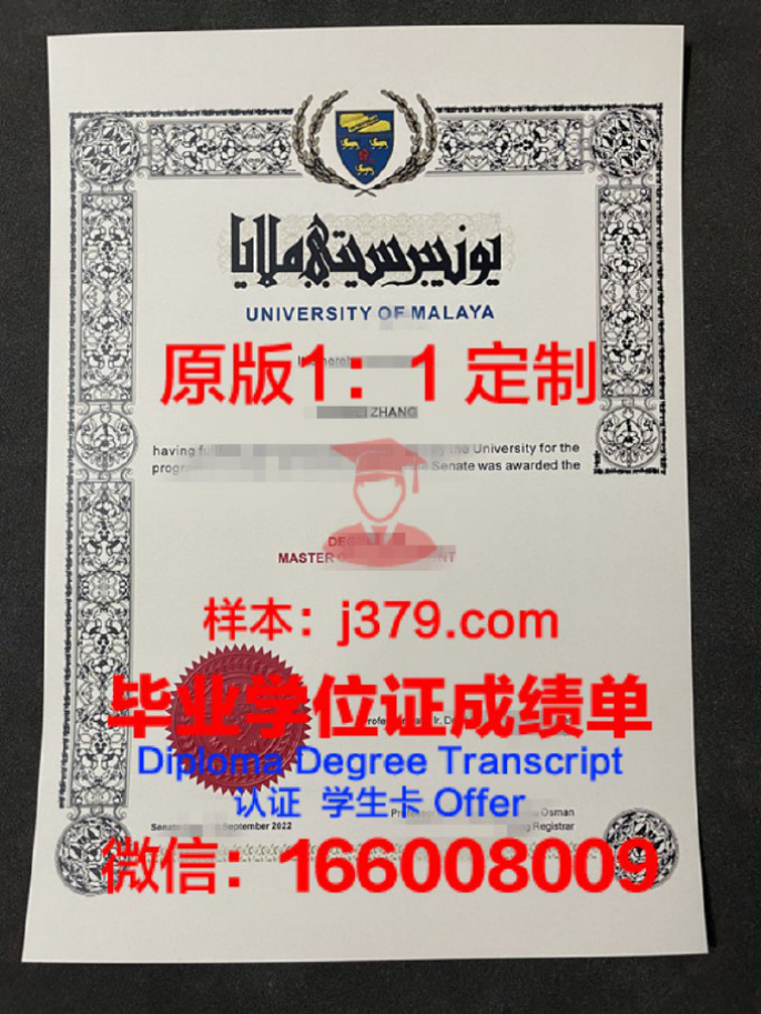 奥斯陆大学学院毕业证diploma