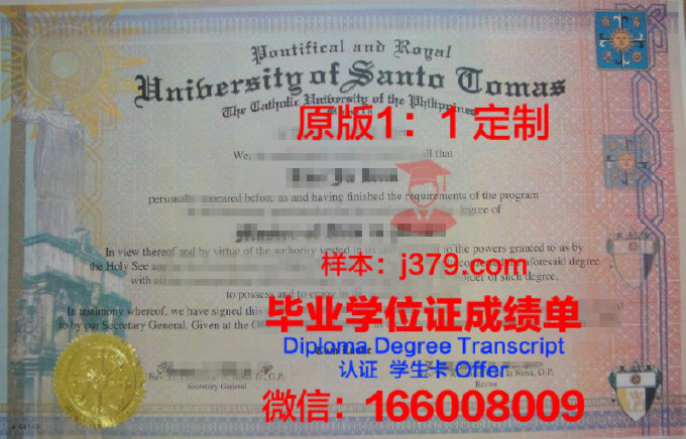 菲律宾莱西姆大学毕业证diploma