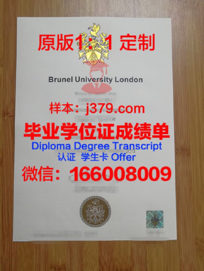 英国伦敦商业金融学院新加坡校区毕业证 London School of Business and Finance diploma