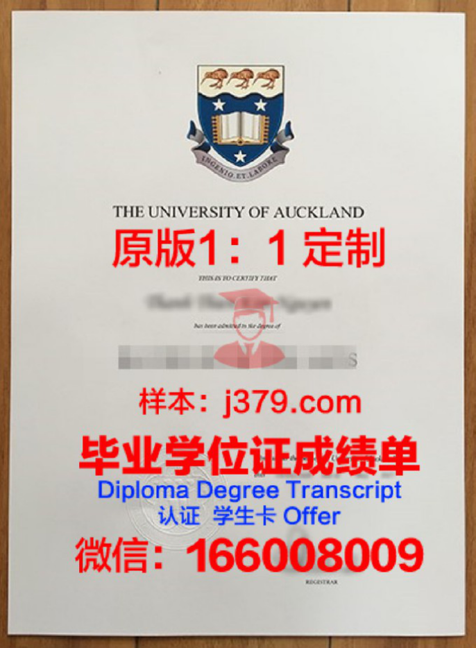 奥克兰媒体设计学院毕业证diploma