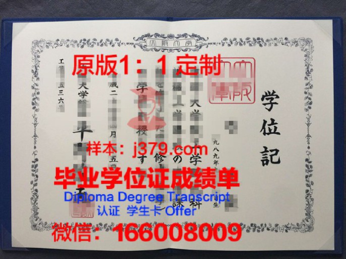 大阪市立大学毕业证diploma