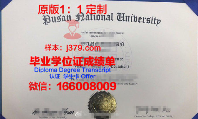 釜山国立大学毕业证diploma