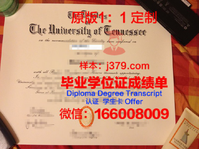 田纳西大学毕业证 University of Tennessee diploma