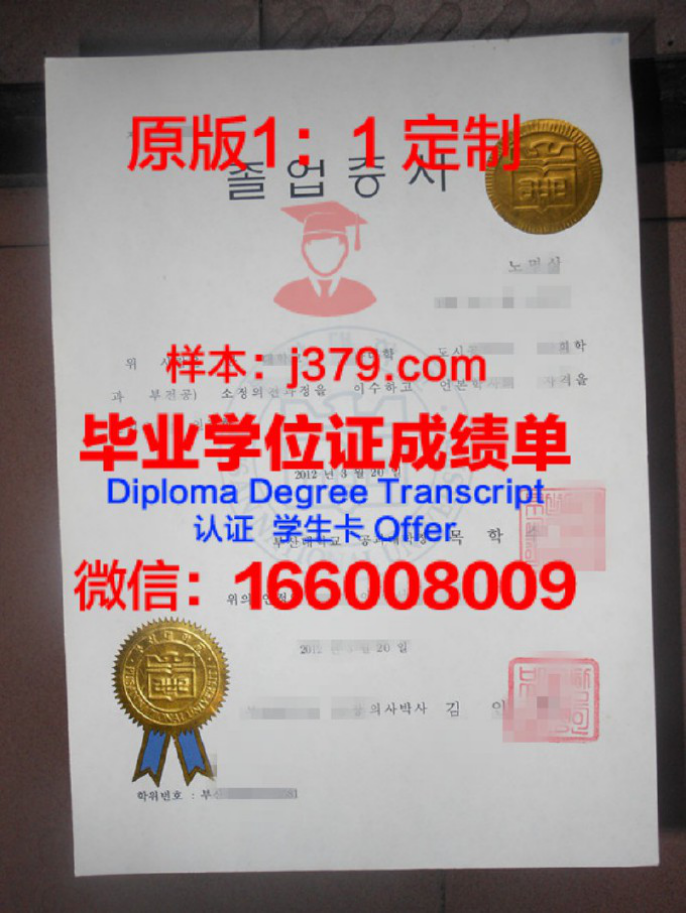 釜山国立大学毕业证diploma