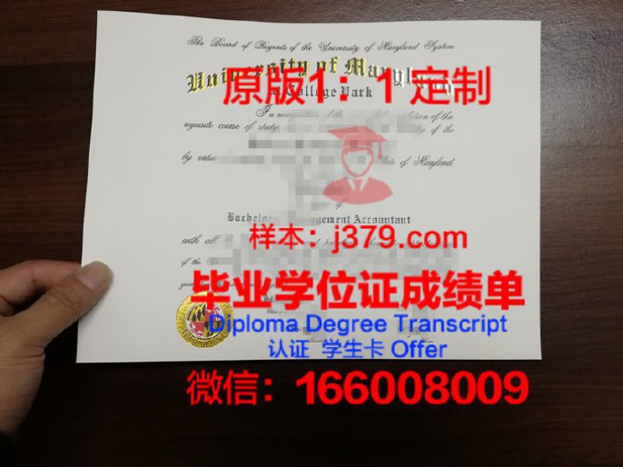 马里兰大学巴尔的摩分校毕业证  diploma