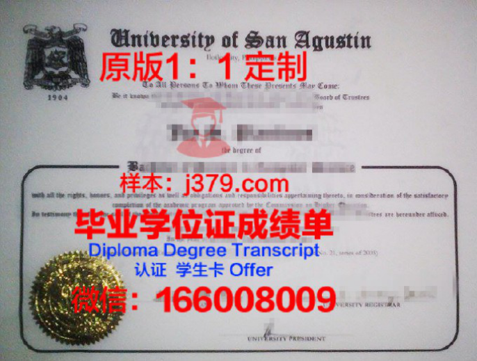 菲律宾科技大学毕业证diploma