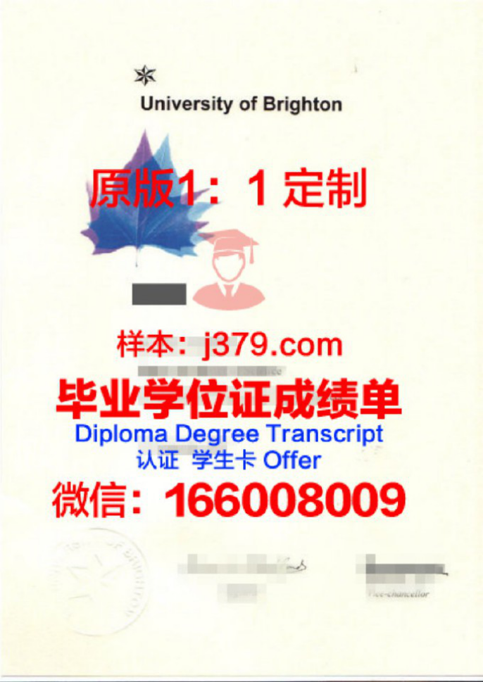 布莱顿学院毕业证diploma