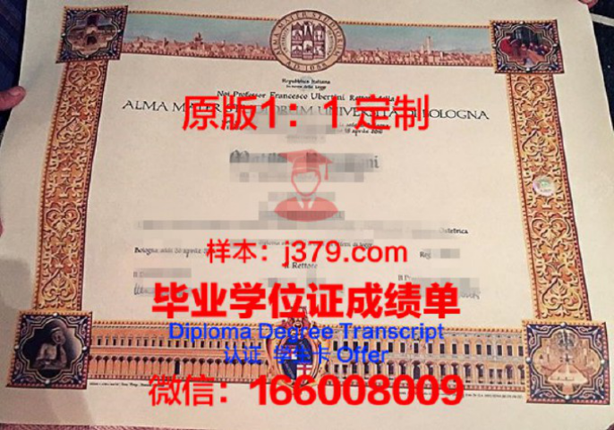 艾尔弗尼亚学院毕业证学位文凭学历Diploma