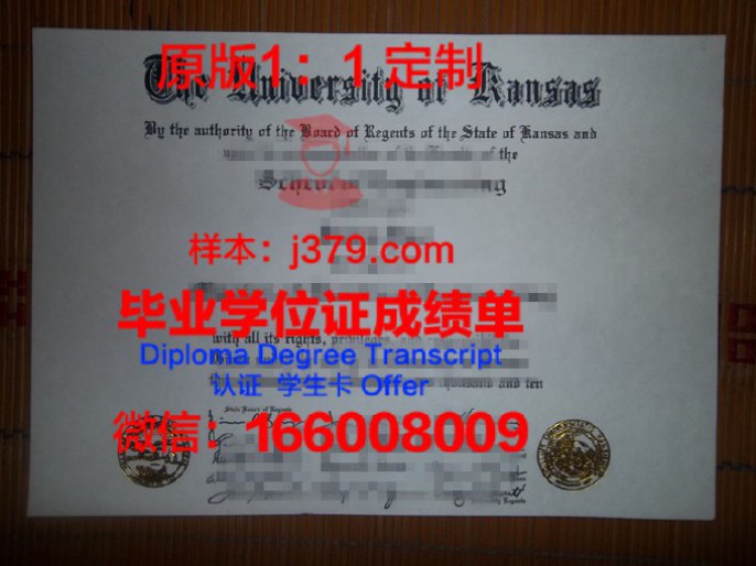 德克萨斯大学达拉斯分校毕业证diploma