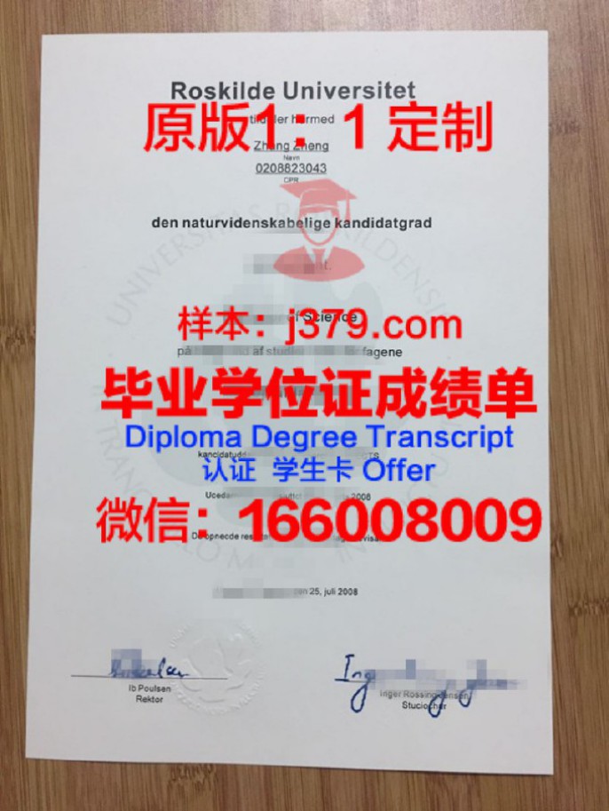 丹麦技术大学毕业证diploma