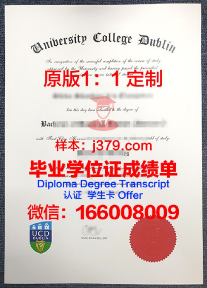 爱尔兰都柏林城市大学毕业证diploma