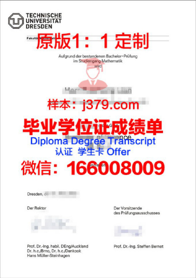 德国德累斯顿工业大学毕业证 Dresden University of Technology diploma