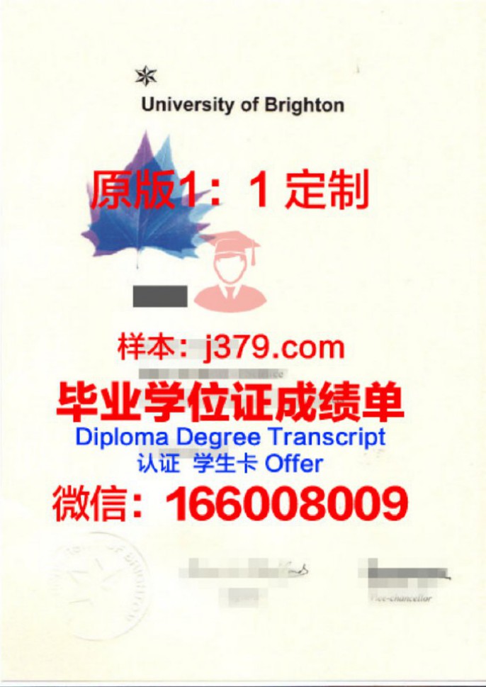 布莱顿大学毕业证diploma