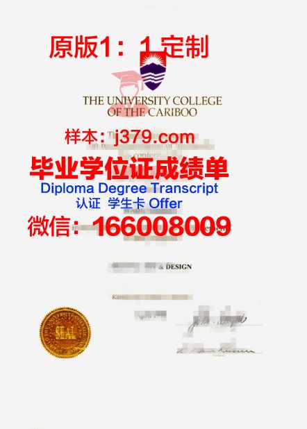 马托格罗索州联邦大学硕士毕业证书样本