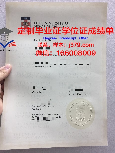 IESA多媒体学院硕士毕业证(多媒体大学qs排名)