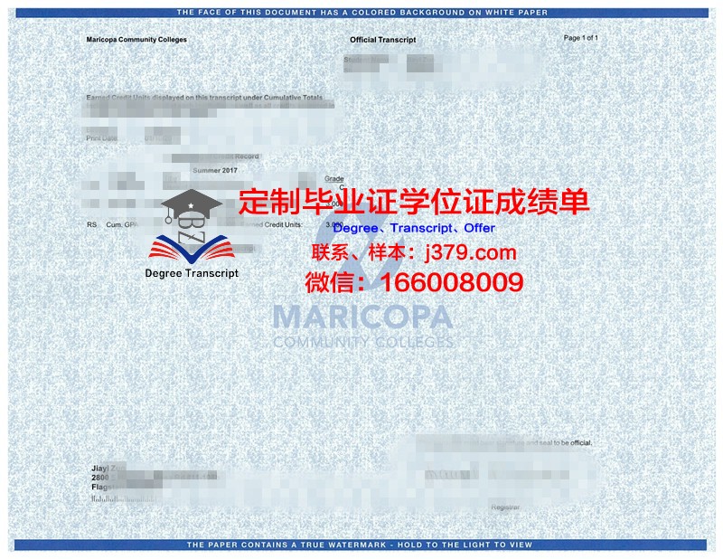 HLU学位成绩单定制：打造个性化学术名片