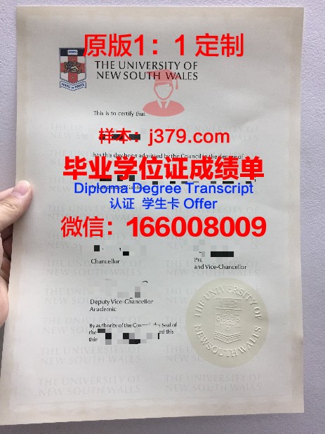 王大学博士毕业证：知识与奋斗的见证