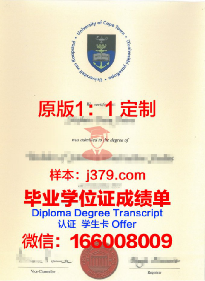 2006年南非工学院毕业证图片高清(南非学校)