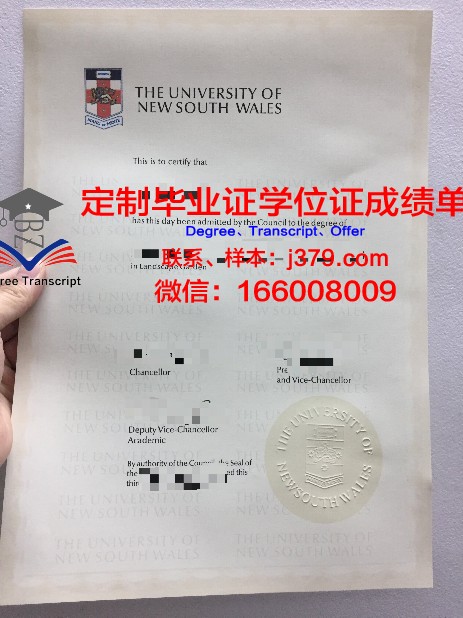 IE大学毕业证diploma