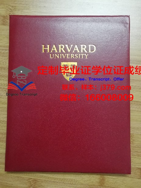 特鲁瓦技术大学毕业证壳子(特鲁瓦技术大学qs排名)