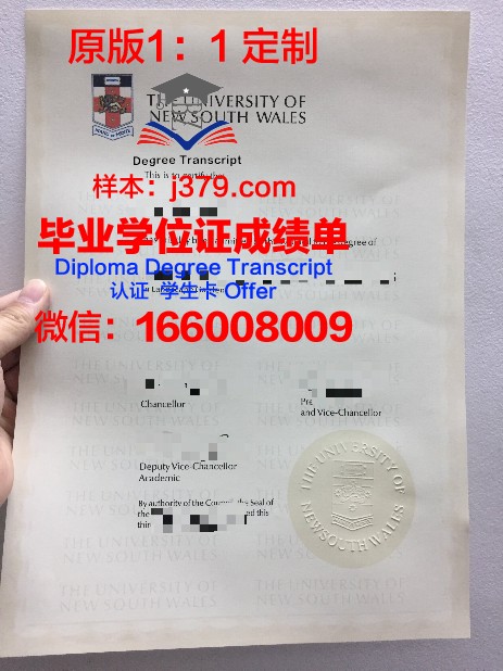 特鲁瓦技术大学研究生毕业证书(特鲁瓦技术大学在法国怎么样)