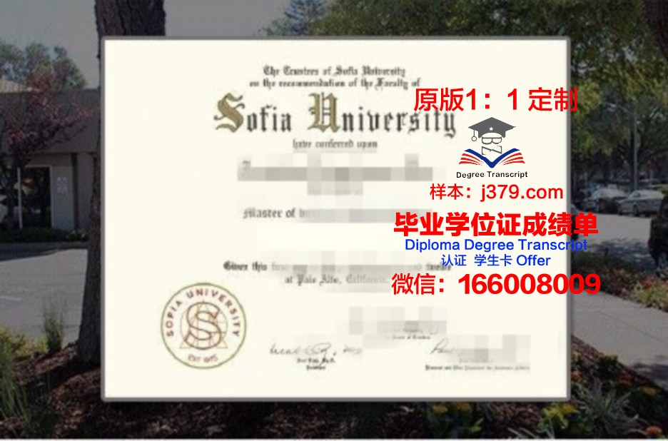 索菲亚赫美大学学院毕业学位