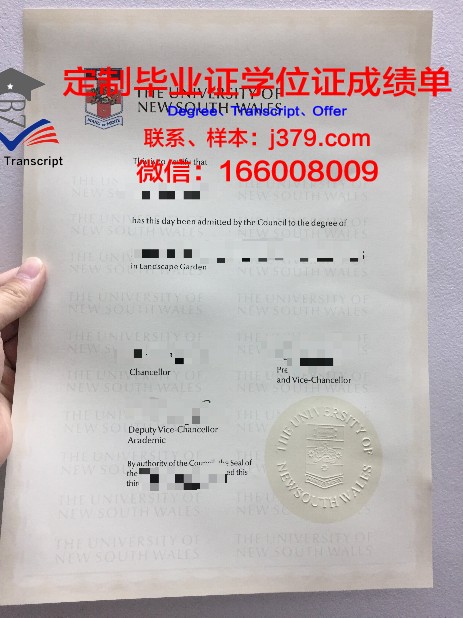 特里尔大学毕业证书什么颜色(德国特里尔大学算名校吗)