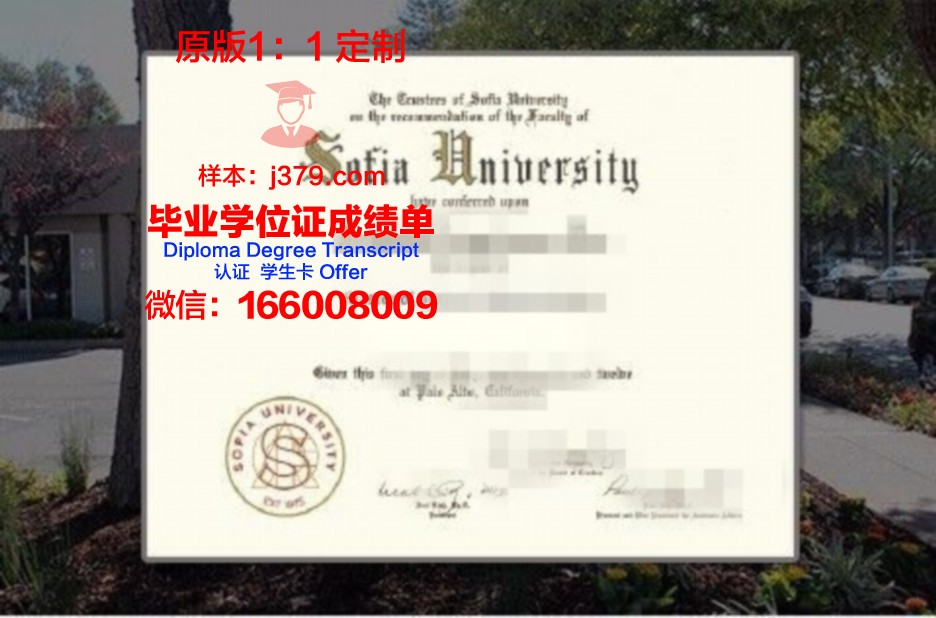 索非亚技术大学普罗夫迪夫分校毕业证翻译(索菲亚大学官网)