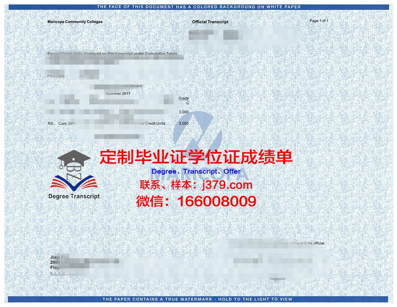 HZU成绩单：数字背后的故事