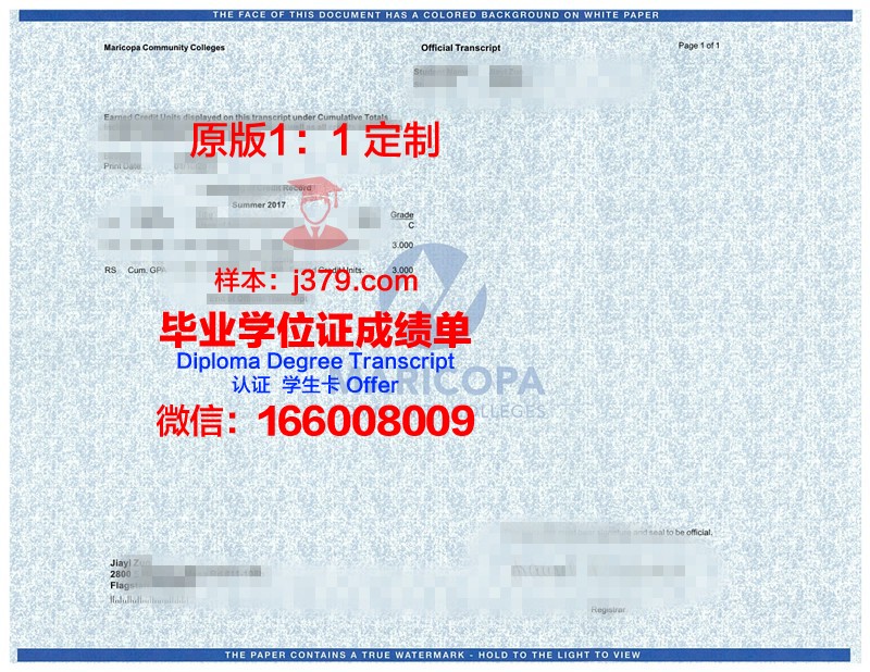 KFedU学位成绩单定制：为毕业生量身打造的专业服务