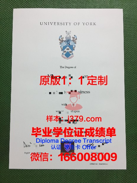 约克大学成绩单：记录学子成长的足迹