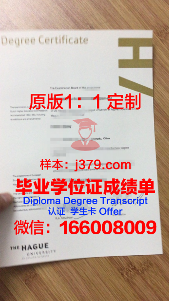 特里尔应用技术大学研究生毕业证书(特里尔应用科学大学排名)