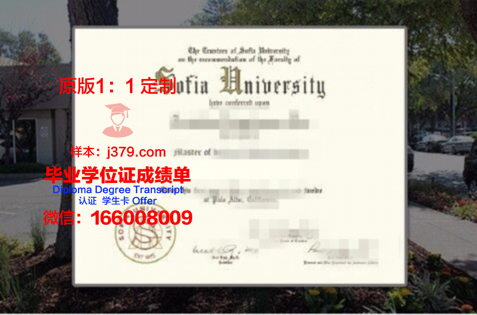 索非亚技术大学普罗夫迪夫分校毕业证翻译(索菲亚大学官网)