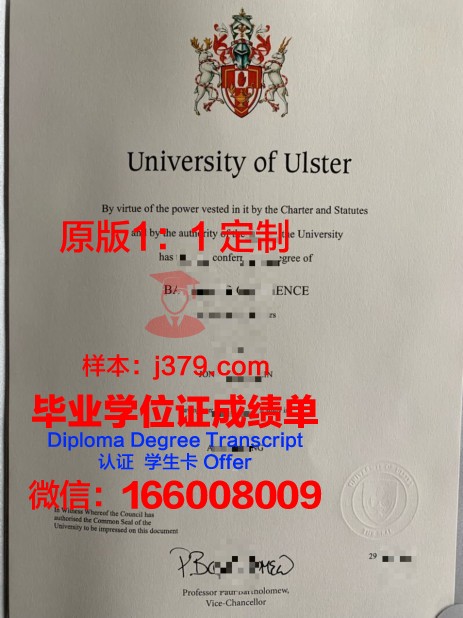 特温特大学毕业证学位文凭学历Diploma