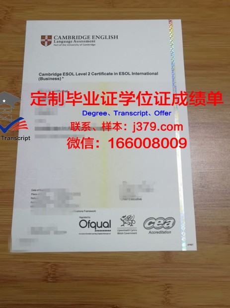 IE大学diploma证书(ie证书含金量)