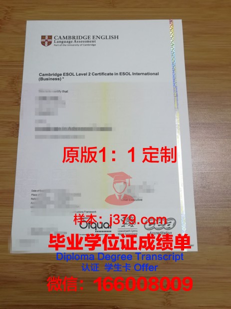 特里尔大学博士毕业证书(特里尔大学博士毕业证书图片)