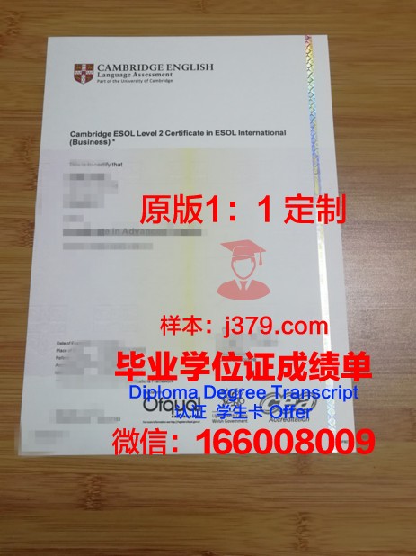 特尔学院diploma证书(特里尔大学学费)