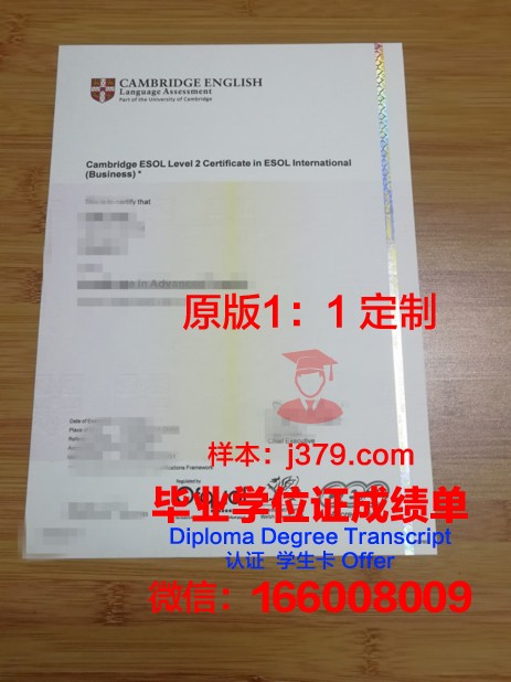 特殊教育与心理学学院diploma证书(特殊教育学大学)