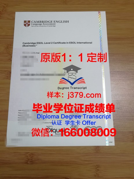 IE大学毕业证书原件(大学毕业证书在线生成)