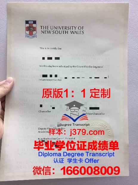 特鲁瓦技术大学毕业证书图片(特鲁瓦技术大学回国就业)