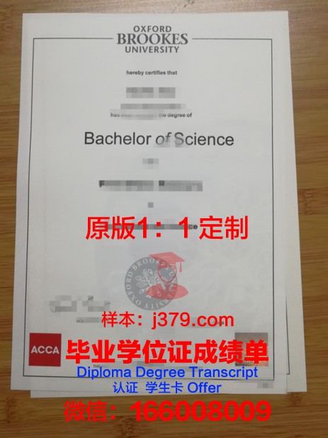 牛津布鲁克斯大学学士学位证书样本(牛津布鲁克斯大学毕业证)