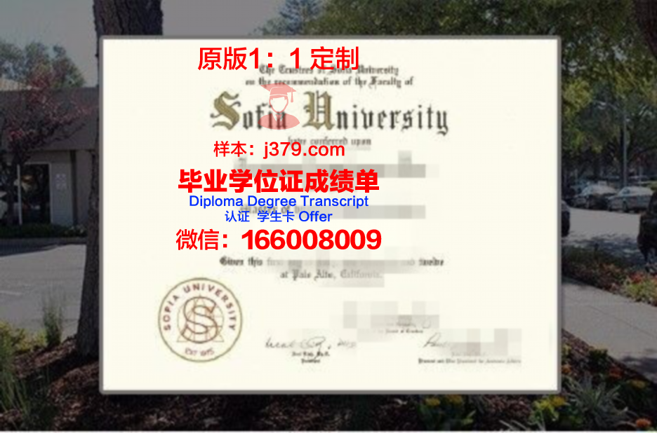 索菲亚大学博士毕业证书(索菲亚大学qs)