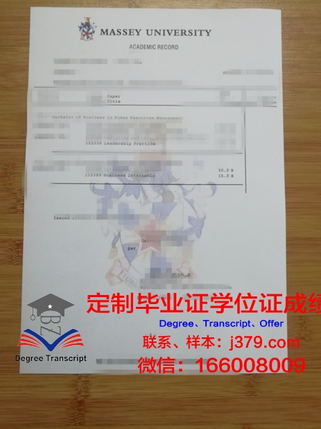 L-SDU学位成绩单定制：开启个性化教育新篇章