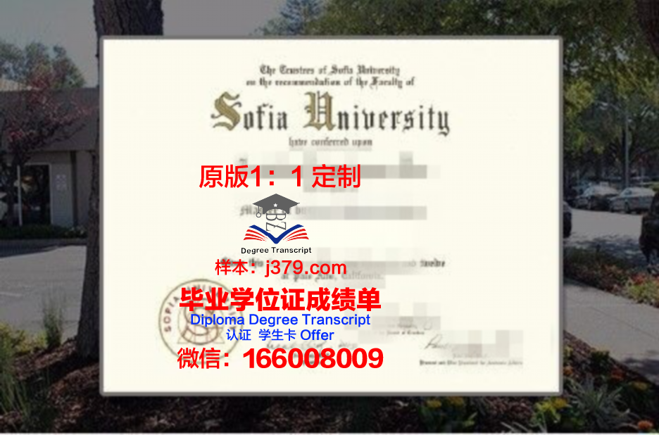 索菲亚赫美大学学院毕业学位