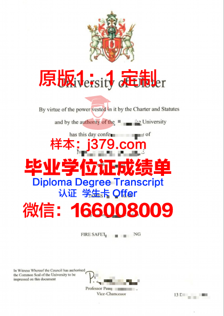 特文特大学的毕业证啥样(特温特大学申请条件)