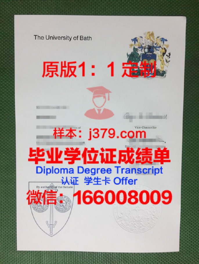 巴斯斯巴大学毕业证diploma