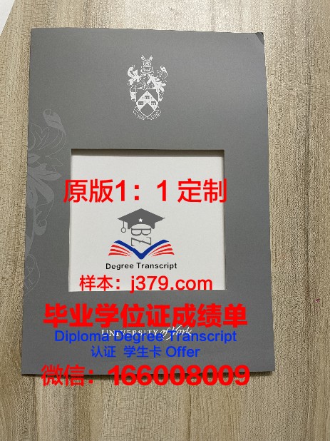 约克大学成绩单：记录学子成长的足迹