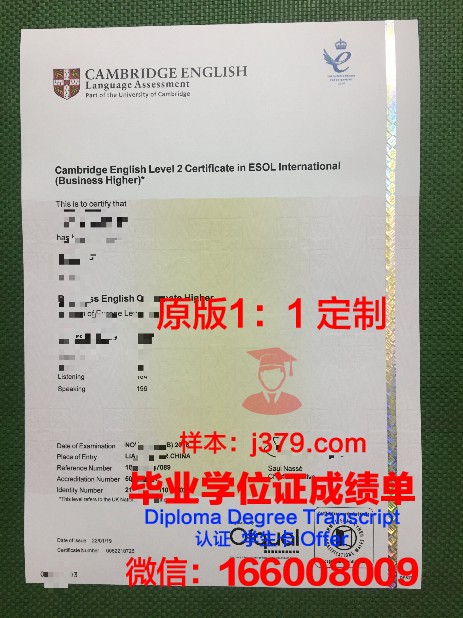 IE大学毕业证书什么颜色(大学毕业证书名称英文怎么填)